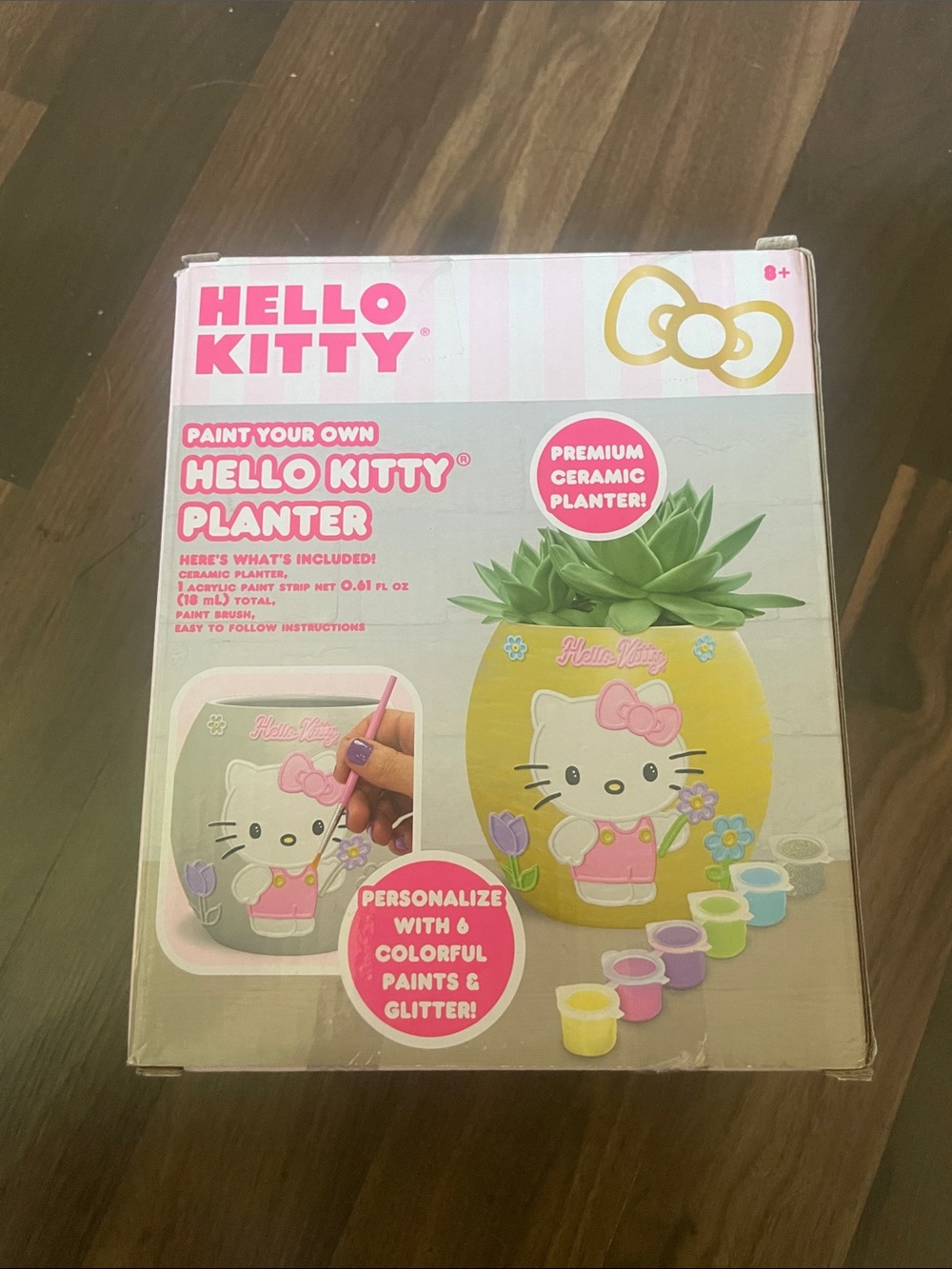 New Hello Kitty paint your own planter